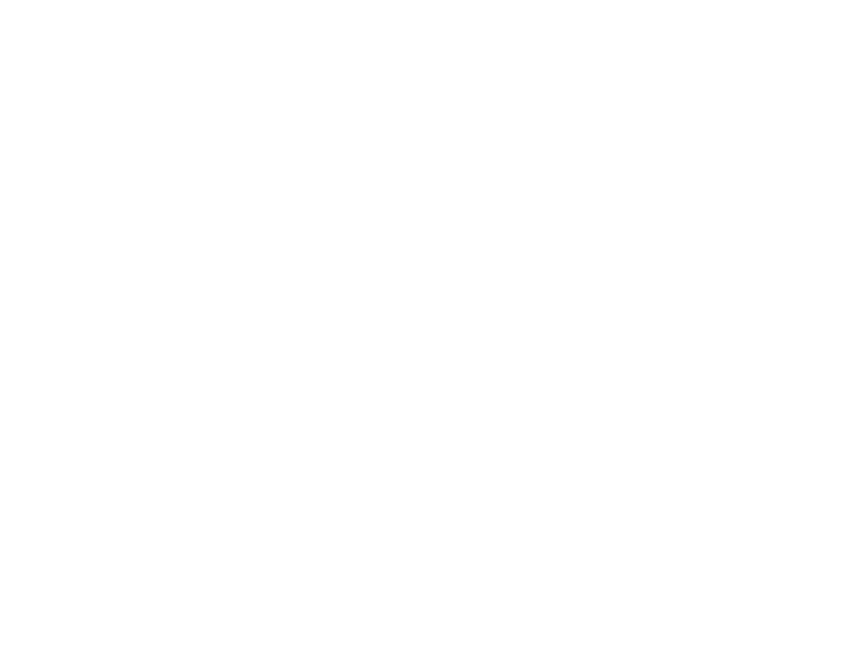Island Dreams Production